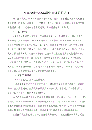 乡镇党委书记基层党建调研报告1.docx