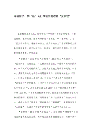 经验做法：向“新”而行推动主题教育“见实效”.docx