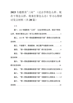 （20篇）领导干部专题教育“三问”（过去学得怎么样、现在干得怎么样、将来打算怎么办）学习心得研讨发言材料范文.docx