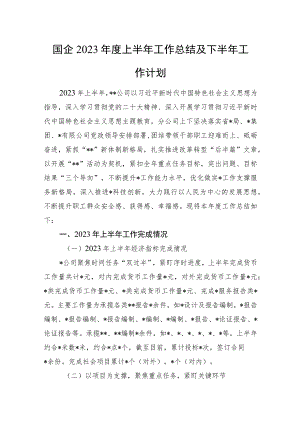 国企2023年度上半年工作总结及下半年工作计划.docx