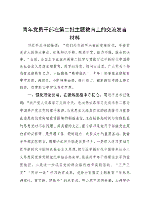 青年党员干部在第二批主题教育上的交流发言材料.docx