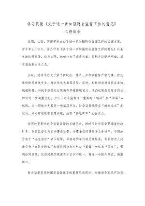 学习贯彻《关于进一步加强财会监督工作的意见》心得体会.docx