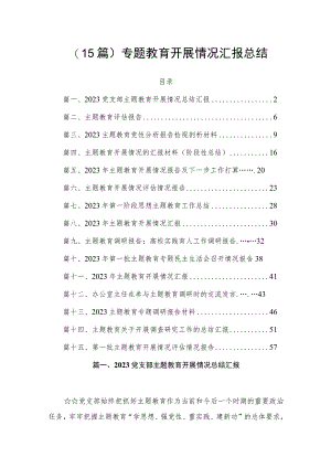 （15篇）专题教育开展情况汇报总结.docx