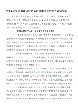 2023年大兴调查研究之某社区推进乡村振兴调研报告.docx