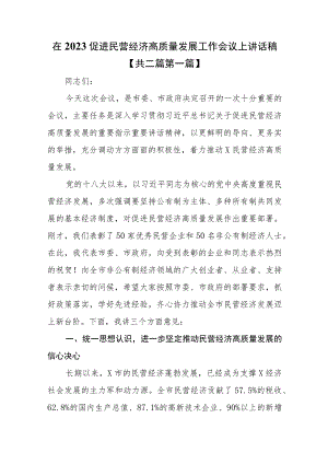 （2篇）在2023促进民营经济高质量发展工作会议上讲话稿.docx