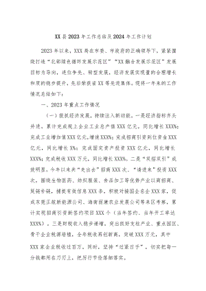 XX县2023年工作总结及2024年工作计划.docx