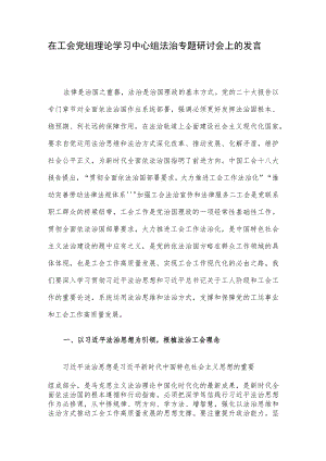 在工会党组理论学习中心组法治专题研讨会上的发言.docx