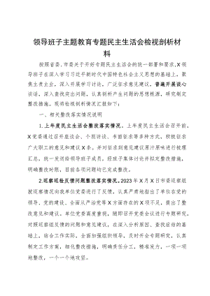 领导班子主题教育专题民主生活会检视剖析材料.docx