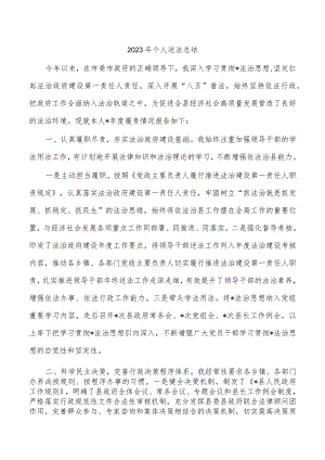 2023年个人述法总结.docx