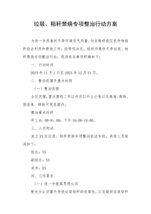垃圾、秸秆禁烧专项整治行动方案.docx