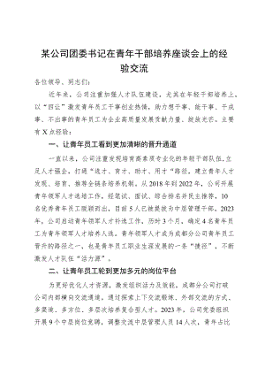 某公司团委书记在青年干部培养座谈会上的经验交流.docx