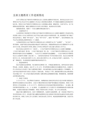 支部主题教育工作进展情况.docx
