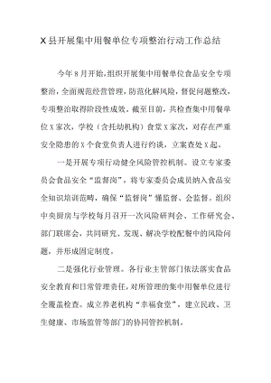X县开展集中用餐单位专项整治行动工作总结.docx