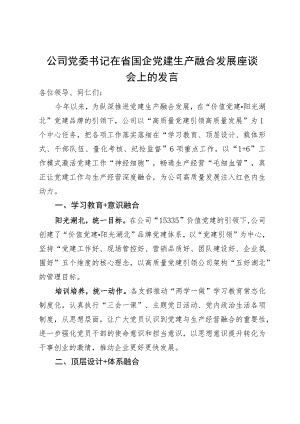 公司党委书记在省国企党建生产融合发展座谈会上的发言.docx