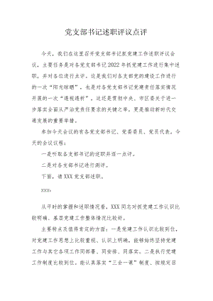 党支部书记述职评议点评.docx
