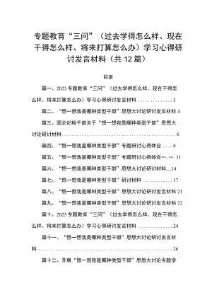 专题教育“三问”（过去学得怎么样、现在干得怎么样、将来打算怎么办）学习心得研讨发言材料（共12篇）.docx