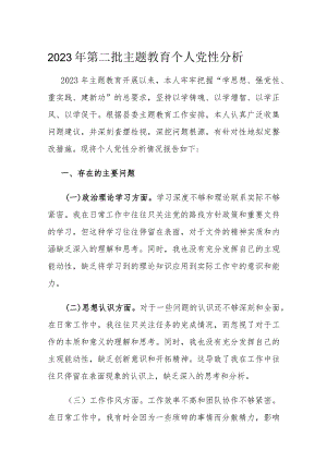 2023年第二批主题教育个人党性分析.docx