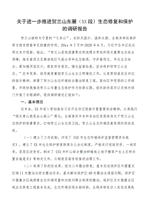 关于进一步推进贺兰山东麓（XX段）生态修复和保护的调研报告.docx