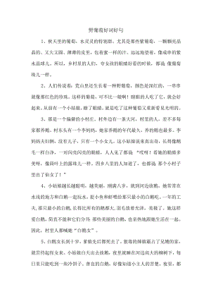 野葡萄好词好句.docx
