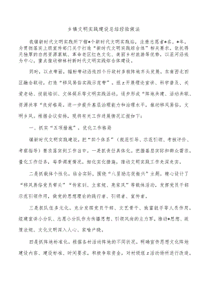 乡镇文明实践建设总结经验做法.docx