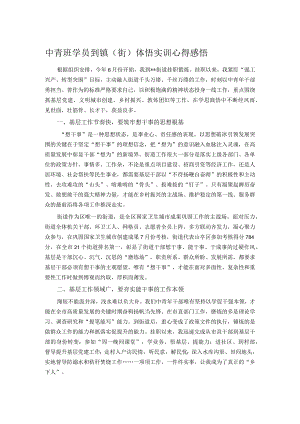 中青班学员到镇（街）体悟实训心得感悟.docx