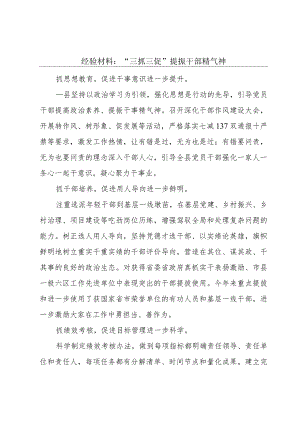 经验材料：“三抓三促”提振干部精气神.docx