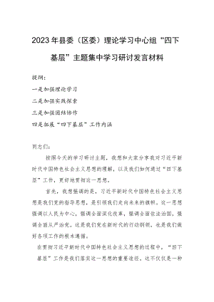 2023年县委（区委）理论学习中心组“四下基层”主题集中学习研讨发言材料.docx