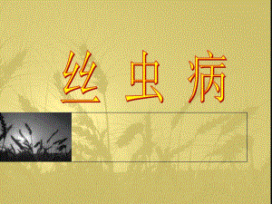 丝虫病.ppt.ppt