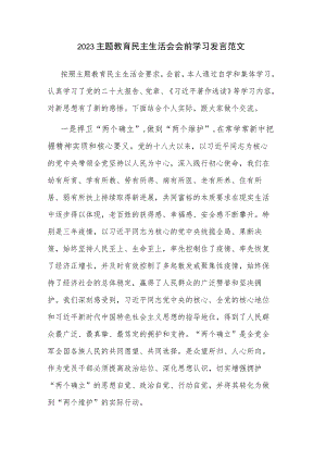 2023主题教育民主生活会会前学习发言范文.docx