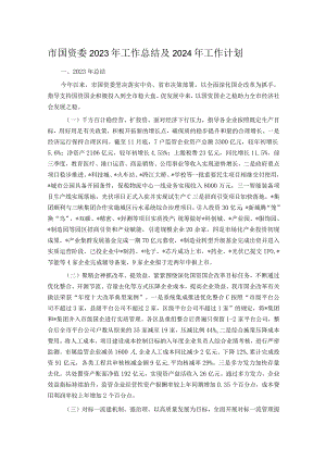 市国资委2023年工作总结及2024年工作计划.docx