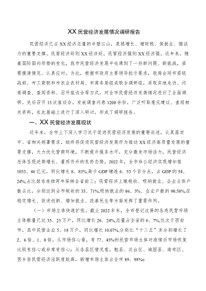 XX民营经济发展情况调研报告.docx