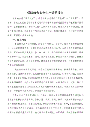 保障粮食安全生产调研报告.docx