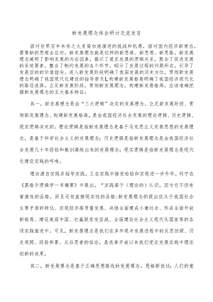 新发展理念体会研讨交流发言.docx