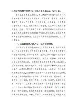 国企党员领导干部第二批主题教育心得体会.docx
