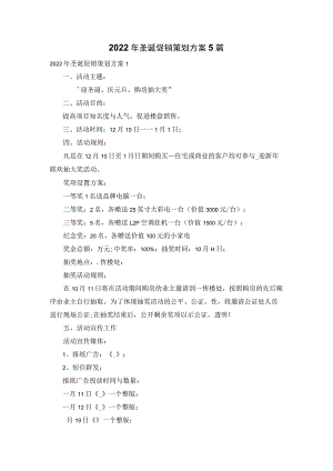 2022年圣诞促销策划方案5篇.docx