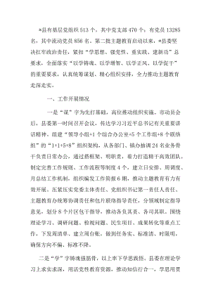 主题教育开展情况自查报告.docx