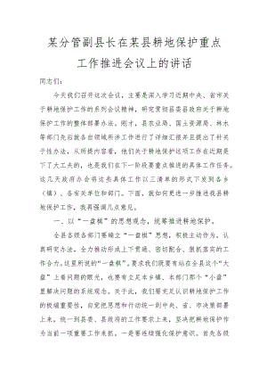 某分管副县长在某县耕地保护重点工作推进会议上的讲话讲话发言.docx