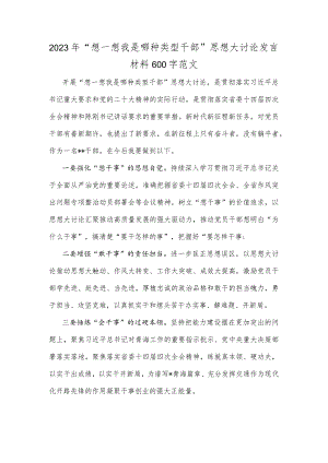 2023年“想一想我是哪种类型干部”思想大讨论发言材料600字范文.docx