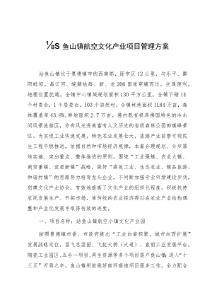 鲇鱼山镇航空文化产业项目管理方案.docx