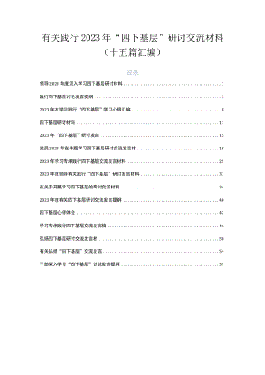 有关践行2023年“四下基层”研讨交流材料（十五篇汇编）.docx