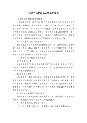支部书记抓党建工作述职报告.docx