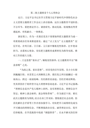 高等大学生学习第二批主题教育心得体会.docx