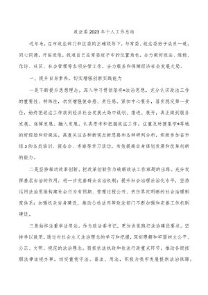 政法委2023年个人工作总结.docx