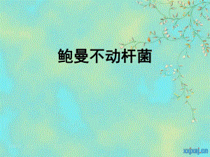 鲍曼不动杆菌.ppt.ppt