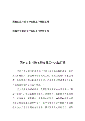 国有企业打造名牌支部工作总结汇报和国有企业助力乡村振兴工作总结汇报.docx