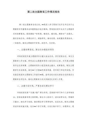 第二批主题教育工作情况报告.docx