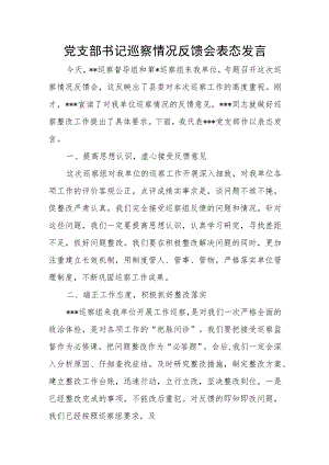 党支部书记巡察情况反馈会表态发言.docx