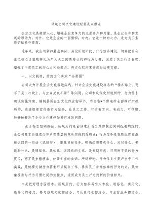 供电公司文化建设经验亮点做法.docx