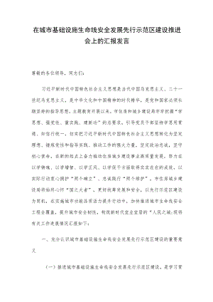 在城市基础设施生命线安全发展先行示范区建设推进会上的汇报发言.docx
