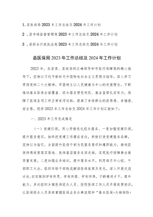 医保局、市场监督管理局、综合行政执法局2023年工作总结及2024年工作计划范文3篇.docx